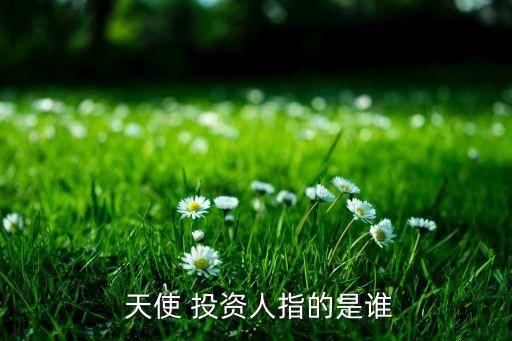 什么叫天使投資,多少錢(qián)可以做天使投資人