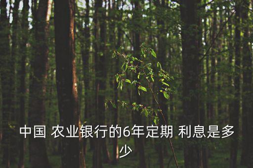 中國 農(nóng)業(yè)銀行的6年定期 利息是多少