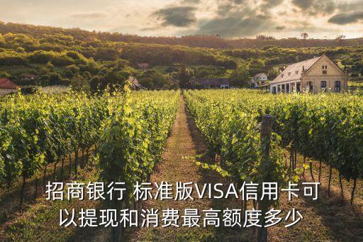  招商銀行 標準版VISA信用卡可以提現(xiàn)和消費最高額度多少