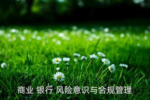 銀行風(fēng)險(xiǎn)文化,招商銀行風(fēng)險(xiǎn)文化