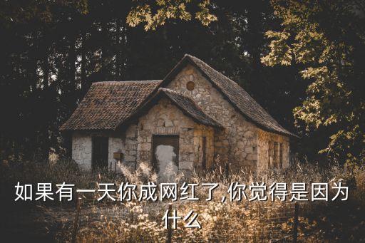 如果有一天你成網(wǎng)紅了,你覺得是因?yàn)槭裁? class=