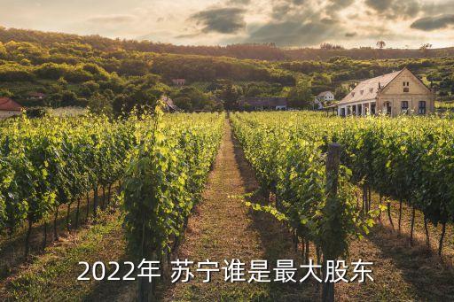 2022年 蘇寧誰(shuí)是最大股東