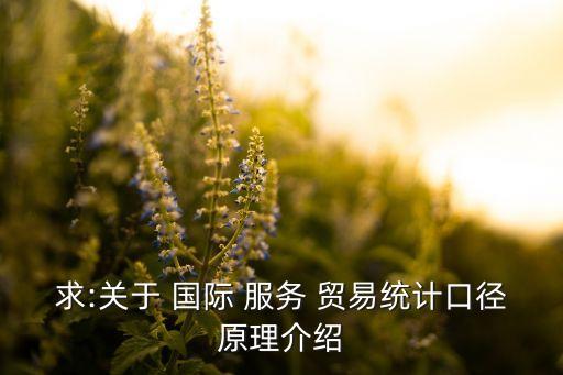 求:關于 國際 服務 貿(mào)易統(tǒng)計口徑原理介紹