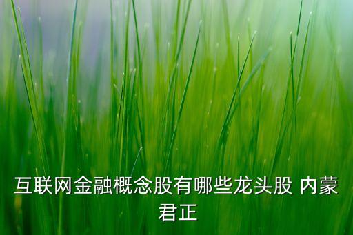 互聯(lián)網(wǎng)金融概念股有哪些龍頭股 內蒙 君正