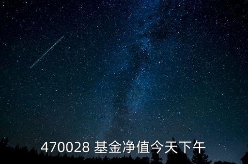 470028 基金凈值今天下午