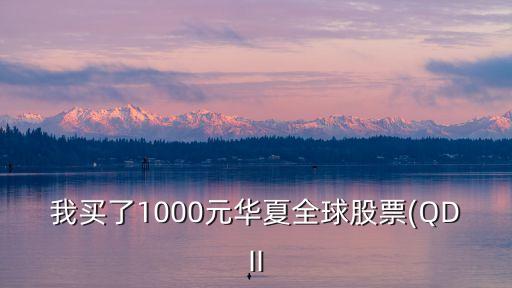 我買(mǎi)了1000元華夏全球股票(QDII