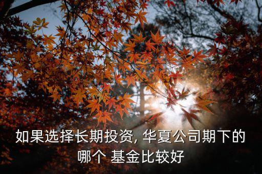 如果選擇長(zhǎng)期投資, 華夏公司期下的哪個(gè) 基金比較好