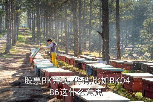  股票BK開頭 代碼,比如BK0486這什么意思