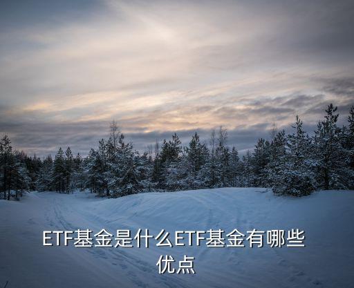 ETF基金是什么ETF基金有哪些 優(yōu)點