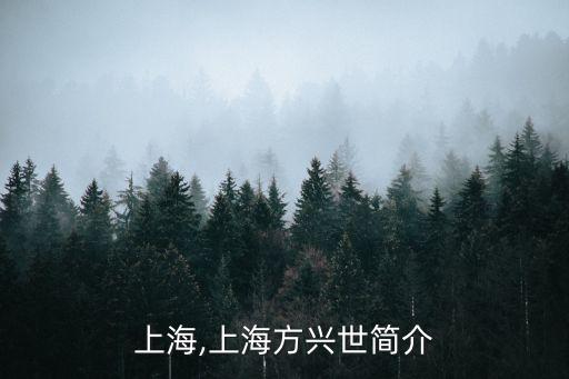 方興上海,上海方興世簡(jiǎn)介