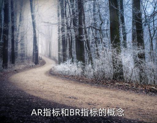 AR指標和BR指標的概念