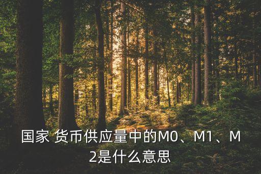 國家 貨幣供應(yīng)量中的M0、M1、M2是什么意思