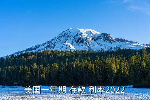 美國一年期 存款 利率2022