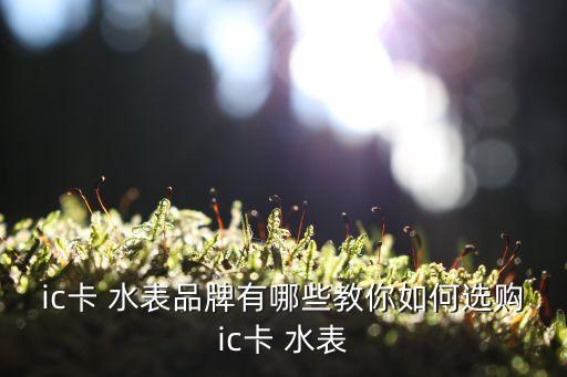 ic卡 水表品牌有哪些教你如何選購(gòu)ic卡 水表