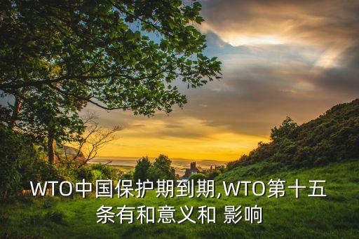 wto2015對(duì)中國(guó)的影響