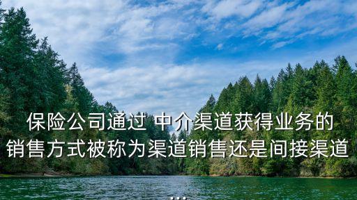  保險公司通過 中介渠道獲得業(yè)務的銷售方式被稱為渠道銷售還是間接渠道...