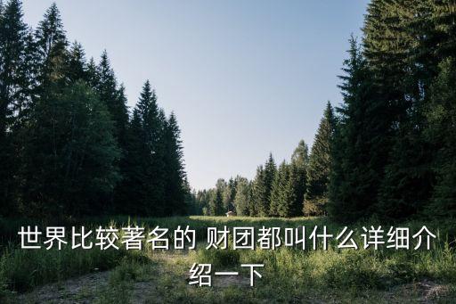 世界比較著名的 財(cái)團(tuán)都叫什么詳細(xì)介紹一下