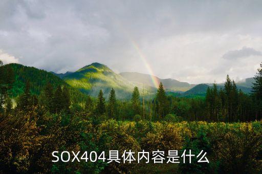 SOX404具體內(nèi)容是什么