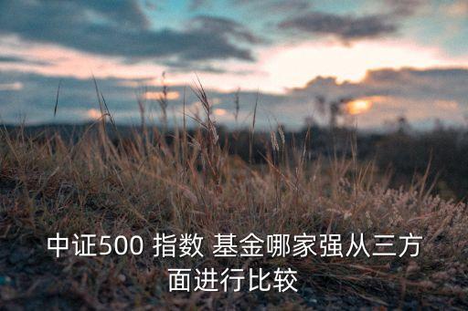 中證500 指數(shù) 基金哪家強(qiáng)從三方面進(jìn)行比較