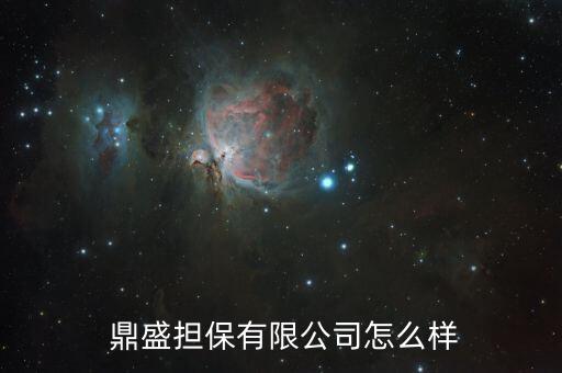  鼎盛擔(dān)保有限公司怎么樣