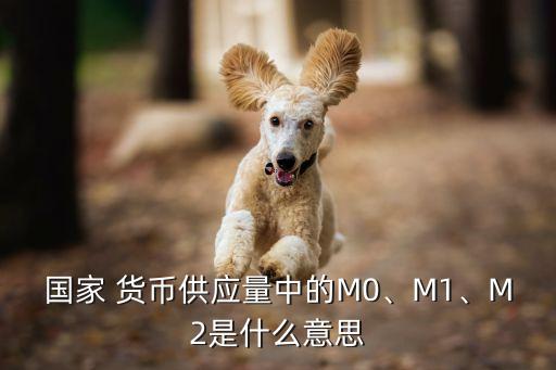 國家 貨幣供應量中的M0、M1、M2是什么意思