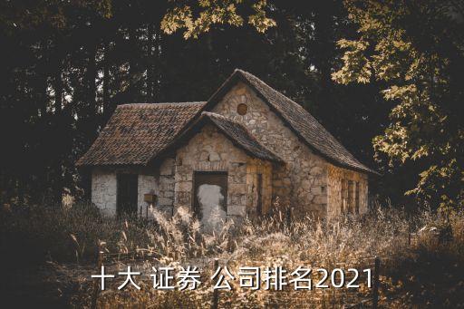 十大 證券 公司排名2021