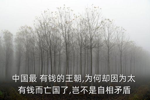 中國太有錢,向太為什么那么有錢