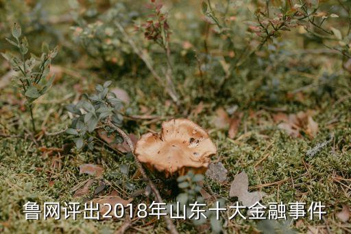 魯網(wǎng)評(píng)出2018年山東十大金融事件