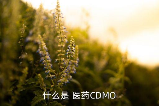 什么是 醫(yī)藥CDMO