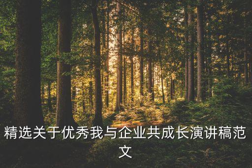 精選關(guān)于優(yōu)秀我與企業(yè)共成長演講稿范文