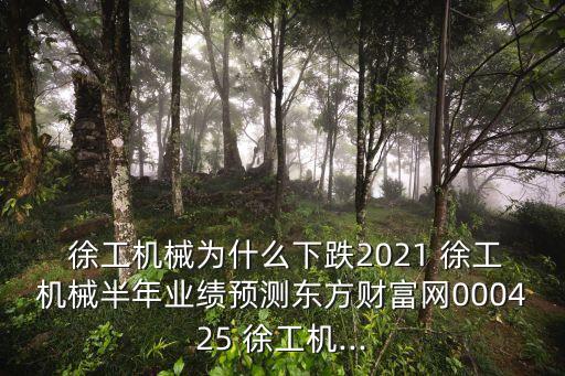  徐工機械為什么下跌2021 徐工機械半年業(yè)績預測東方財富網(wǎng)000425 徐工機...