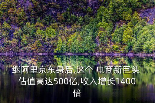 繼阿里京東身后,這個 電商新巨頭 估值高達(dá)500億,收入增長1400倍