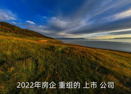 2022年房企 重組的 上市 公司