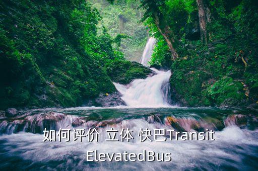 如何評(píng)價(jià) 立體 快巴TransitElevatedBus