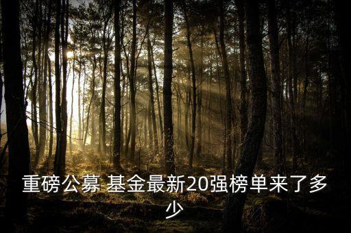 重磅公募 基金最新20強(qiáng)榜單來了多少