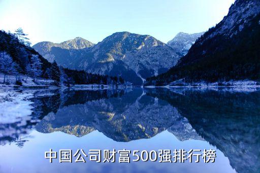 中國公司財富500強(qiáng)排行榜