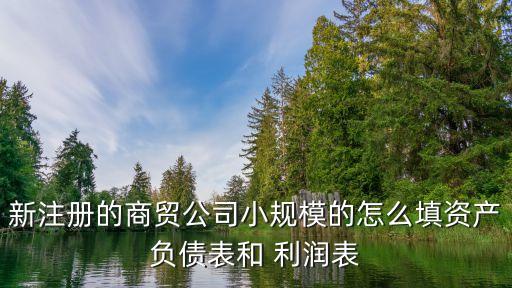 新注冊(cè)的商貿(mào)公司小規(guī)模的怎么填資產(chǎn)負(fù)債表和 利潤(rùn)表