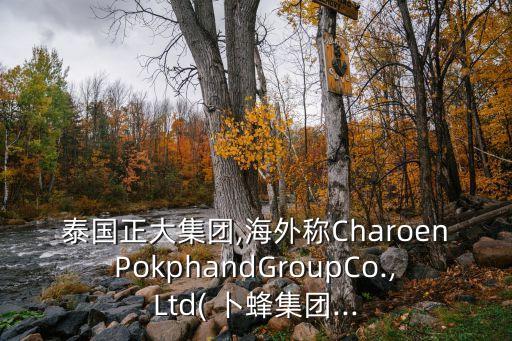 泰國正大集團,海外稱CharoenPokphandGroupCo.,Ltd( 卜蜂集團...