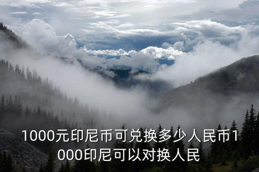 1000元印尼幣可兌換多少人民幣1000印尼可以對(duì)換人民