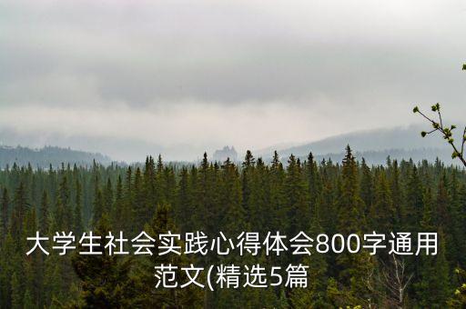 大學生社會實踐心得體會800字通用范文(精選5篇