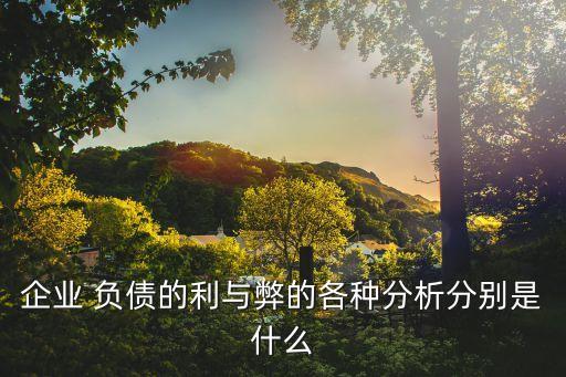 企業(yè) 負(fù)債的利與弊的各種分析分別是什么