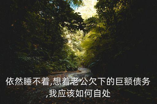 依然睡不著,想著老公欠下的巨額債務(wù),我應(yīng)該如何自處