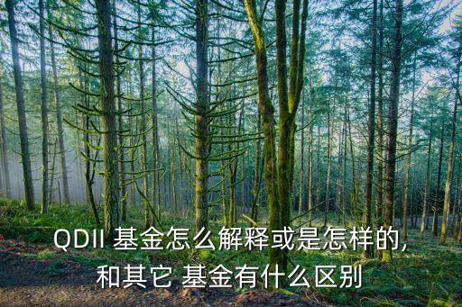 QDII 基金怎么解釋或是怎樣的,和其它 基金有什么區(qū)別