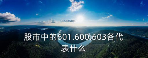 股市中的601.600.603各代表什么