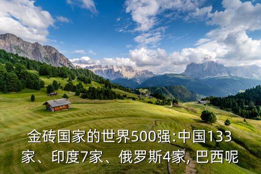 金磚國家的世界500強:中國133家、印度7家、俄羅斯4家, 巴西呢