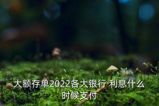 大額存單2022各大銀行 利息什么時候支付