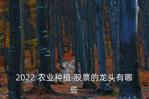 2022 農(nóng)業(yè)種植 股票的龍頭有哪些