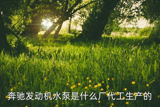 奔馳發(fā)動(dòng)機(jī)水泵是什么廠代工生產(chǎn)的