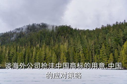 談海外公司搶注中國商標(biāo)的用意,中國的應(yīng)對策略