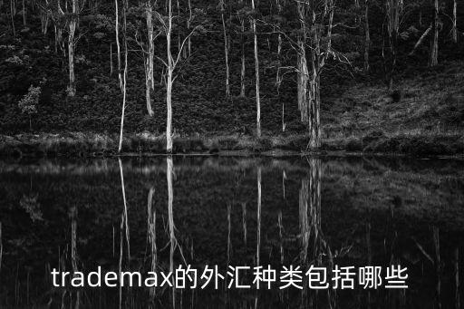 trademax的外匯種類包括哪些